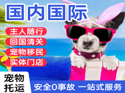 伊尔施航空邮寄国际宠物托运 【国
