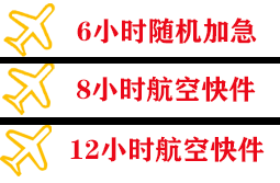 伊尔施航空邮寄快递公司,专业空运当天件